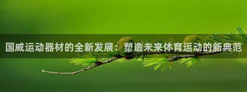 球王会体育官方正版app娱乐:国威运动器材的全新发展:塑造未