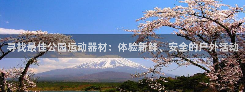 球王会体育官方正版app新能源:寻找最佳公园运动器材:体验新