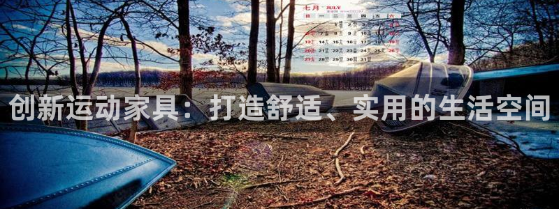 球王会体育官网下载是干嘛的公司:创新运动家具:打造舒适、实用